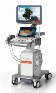 Siemens Juniper