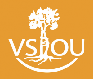VSOU